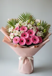 Gerbera Seară