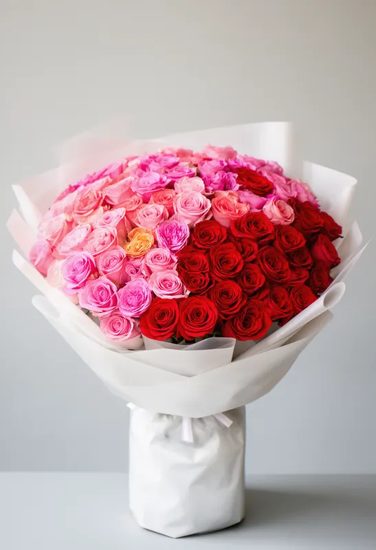 Ombre Roz Valentine