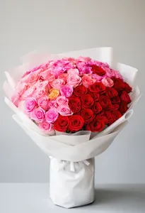 Ombre Roz Valentine