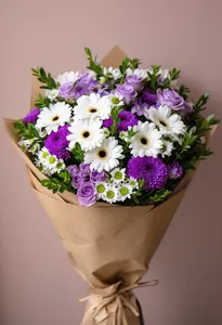 Gerbera Albă Serenă