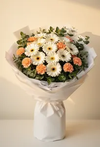 Gerbera Nuanță