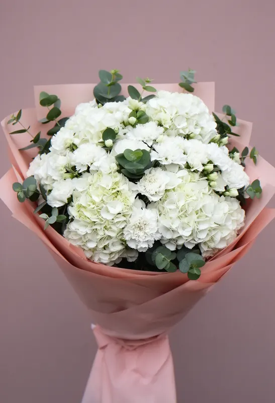 Vis de Hortensie