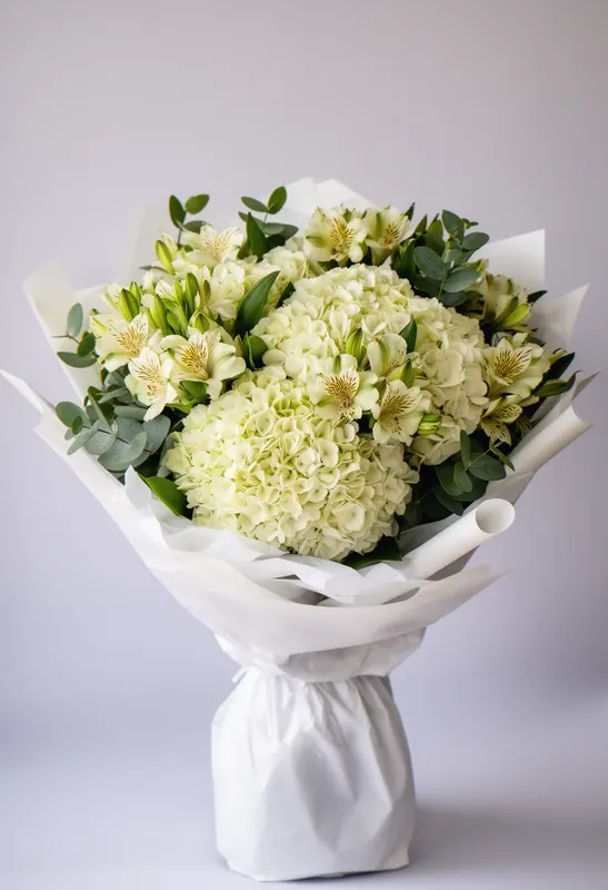 Hortensie Cremă