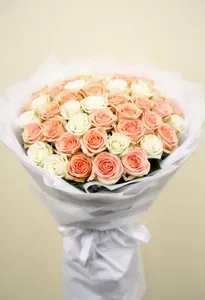 Cream to Peach Ombre