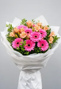 Gerbera Balada