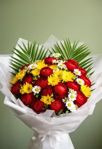 Ranunculus Primăvară