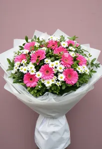 Gerbera Serenadă