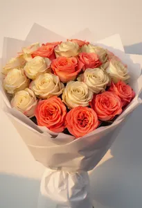 Vendela Amsterdam Eleganță