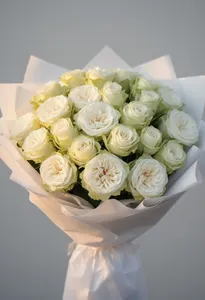 White O Hara Vers