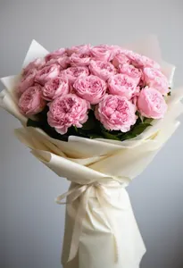 Pomarose Aniversare