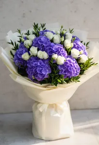 Hortensie Nopții