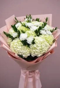 Hortensie Cremă Serenă