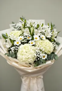Hortensie Champagne