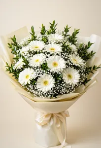 Gerbera Dorință