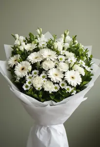 Gerbera Albă