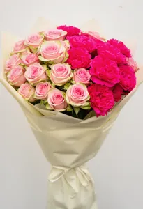 Pink Mondial Nocturn