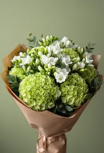 Hortensie Verde