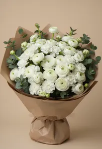 Ranunculus Regal