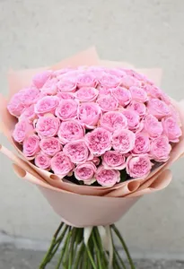 Pomarose Toamnă Liniștită