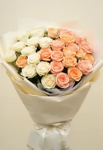 Cream to Peach Dor