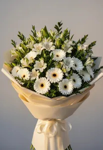 Gerbera Albă Armonie