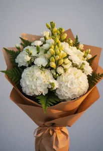 Hortensie Albă Eleganță