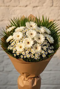 Gerbera Alb Serenitate