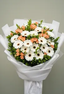Gerbera Toamna