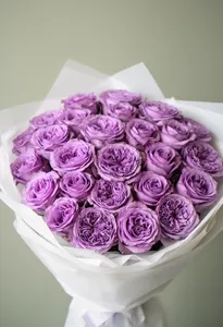 Dar de Lavanda