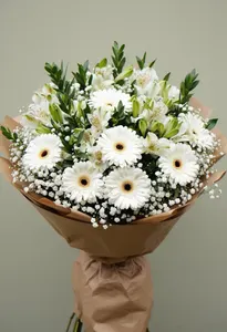 Gerbera Serenă