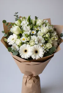 Gerbera Simplitate