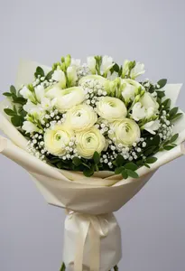 Ranunculus Visător