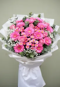 Gerbera Roză Eleganță