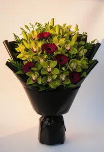 Orhidee Verde Valentine