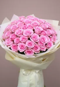 Be Sweet Coral