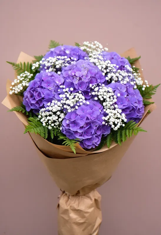 Vis hortensie