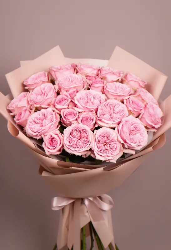 Pomarose Primăvară