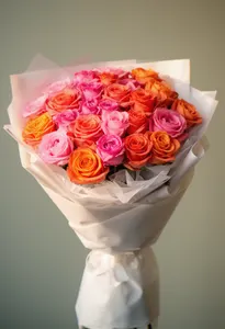 Coral Ombre Iubire