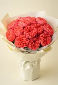Zbor Coral