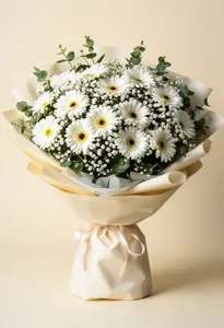 Albul Gerbera
