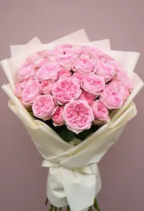 Pomarose Liniștită