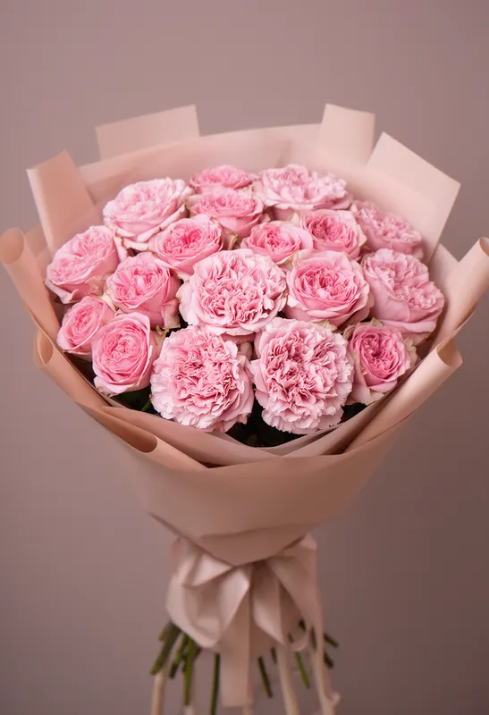 Pomarose Minimal