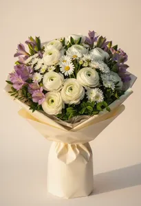 Ranunculus Seren