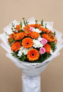 Gerbera Vibrante