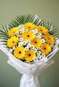 Gerbera Vânt de Soare