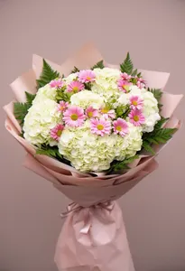 Hortensie Valentine
