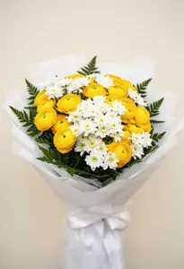 Ranunculus Festiv