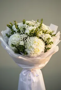 Hortensie Eleganță Afaceri