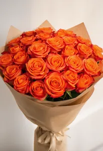 Orange Crush Euforia