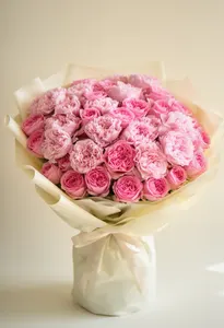 Pomarose Nostalgică